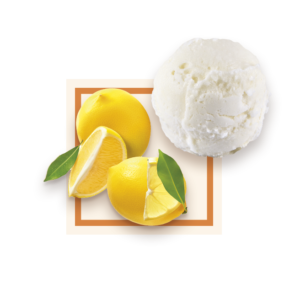 Sorbet citron Sicile 2,5L GLACES DES ALPES