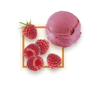Sorbet framboise 2,5L GLACES DES ALPES
