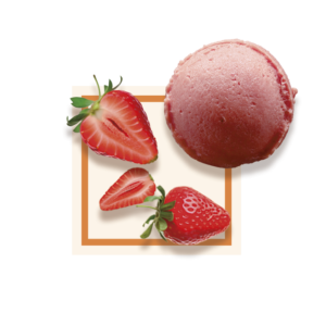 Sorbet fraise 2,5L GLACES DES ALPES