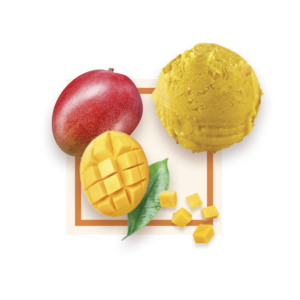 Sorbet mangue 2,5L GLACES DES ALPES