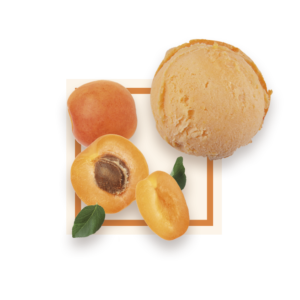 Sorbet abricot 2,5L GLACES DES ALPES