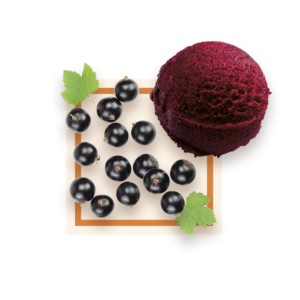 Sorbet cassis 2,5L GLACES DES ALPES