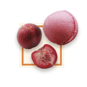 Sorbet p?che vigne 2,5L GLACES DES ALPES