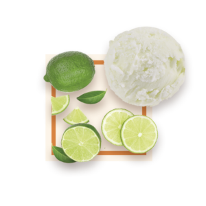 Sorbet citron vert 2,5L GLACES DES ALPES
