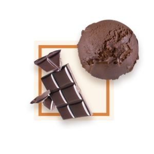 Sorbet chocolat 2,5L GLACES DES ALPES