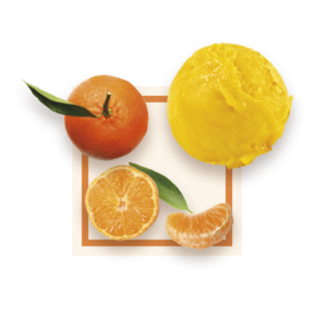 Sorbet cl?mentine Corse 2,5L GLACES DES ALPES