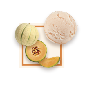 Sorbet melon 2,5L GLACES DES ALPES