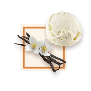 Glace vanille 2,5L GLACES DES ALPES