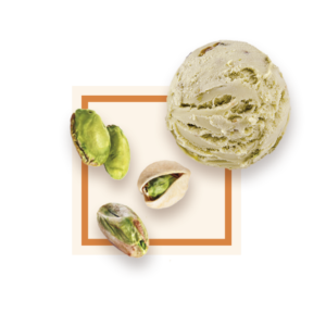 Glace pistache 2,5L GLACES DES ALPES