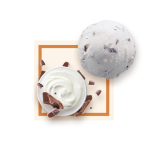 Glace stracciatella 2,5L GLACES DES ALPES
