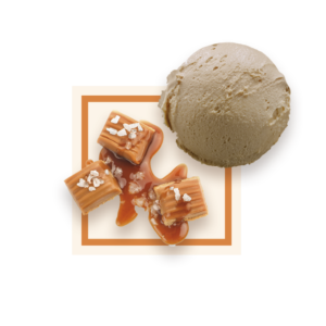 Glace caramel BS 2,5L GLACES DES ALPES