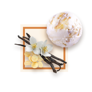 Glace macadamia vanille 2,5L GLACES DES ALPES