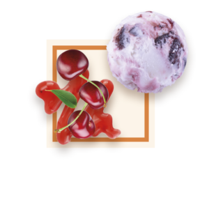 Glace amarena 2,5L GLACES DES ALPES