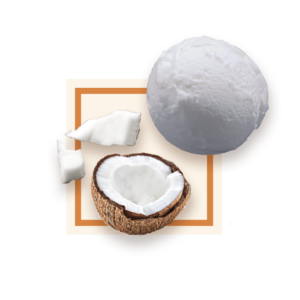 Glace noix de coco 2,5L GLACES DES ALPES