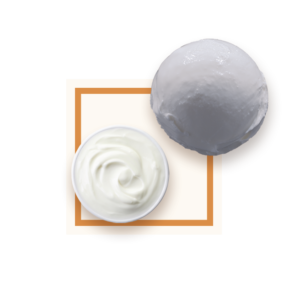 Glace yaourt 2,5L GLACES DES ALPES